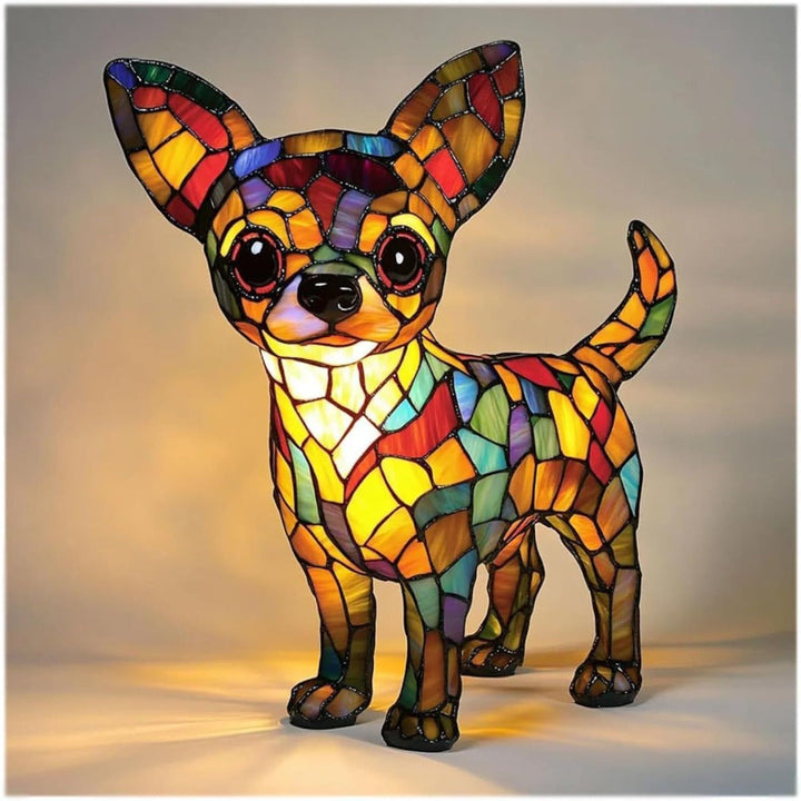 Living with a Chihuahua
